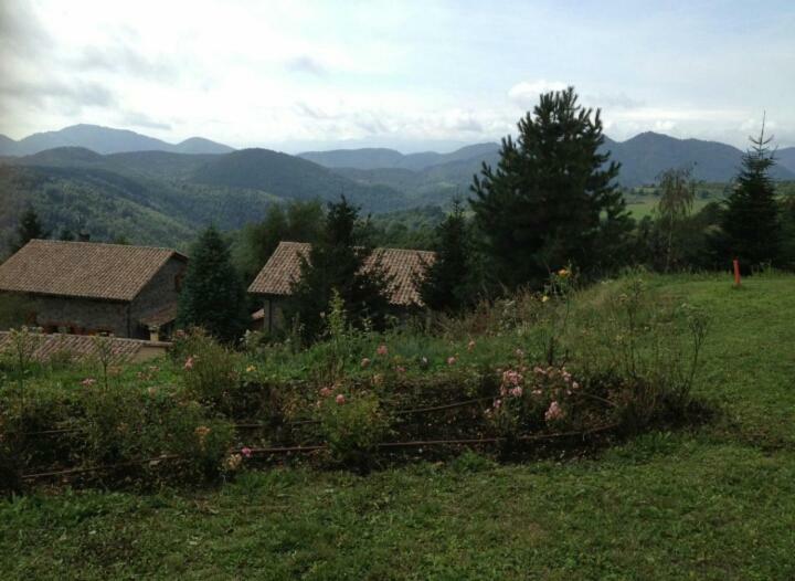 Casa Rural Mollo, Vall De Camprodon Eksteriør bilde