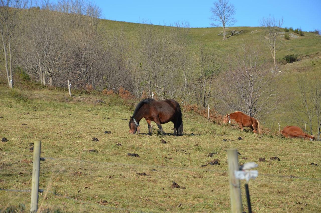 Casa Rural Mollo, Vall De Camprodon Eksteriør bilde